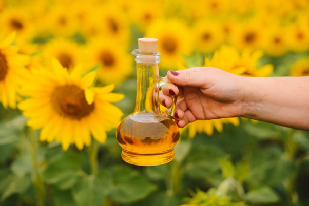 Do You Know The Importance of Sunflower Oil In Your Skincare Routine?