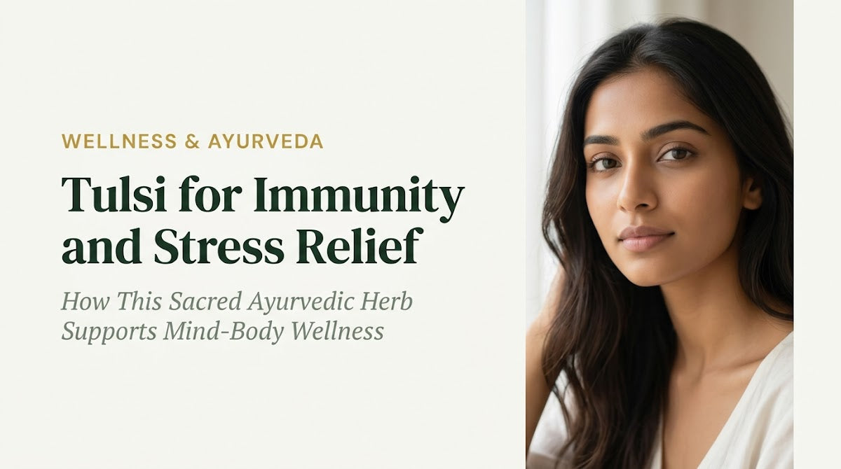 Tulsi immunity stress relief benefits