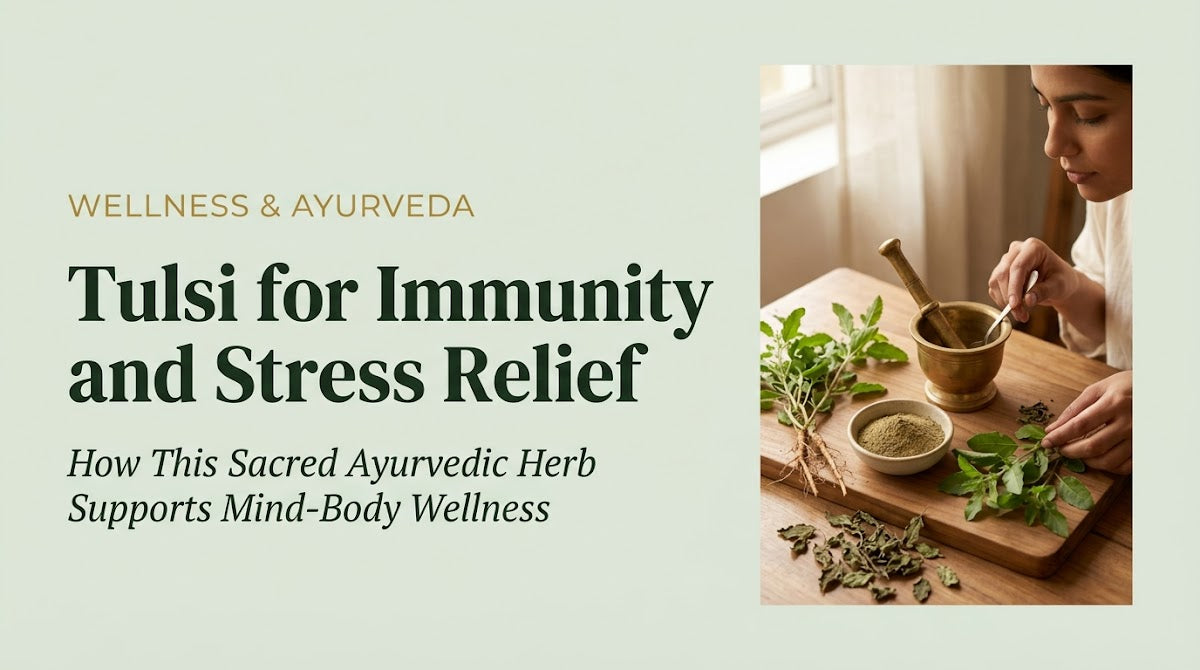 Tulsi for Immunity and Stress Relief: How This Sacred Ayurvedic Herb Supports Mind-Body Wellness