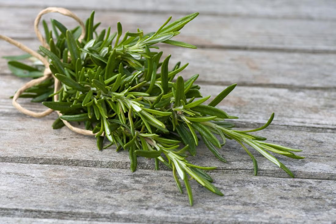 rosemary oil for hair growth