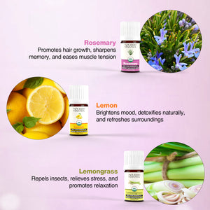 Pack of 6 Essential Oils